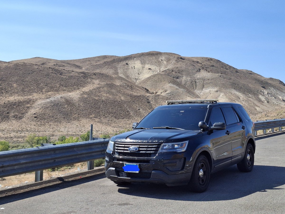 Allen the Corgi🔜TFF,FWA?,? tweet media