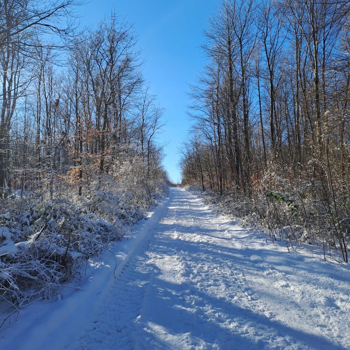 Norbert Neuwirth tweet media