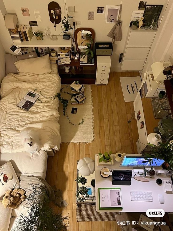 Cozy tweet media