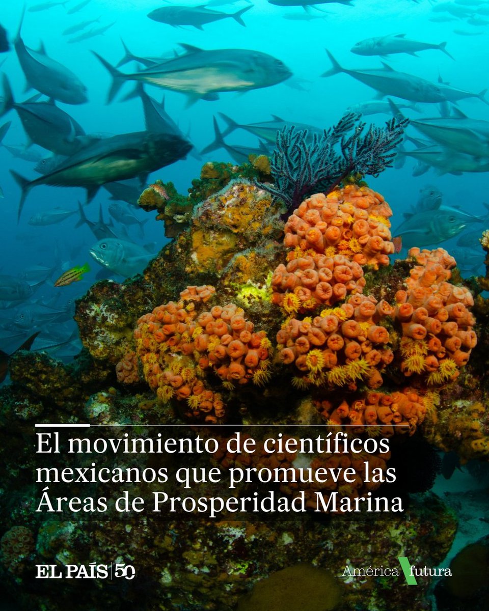 EL PAÍS América tweet media