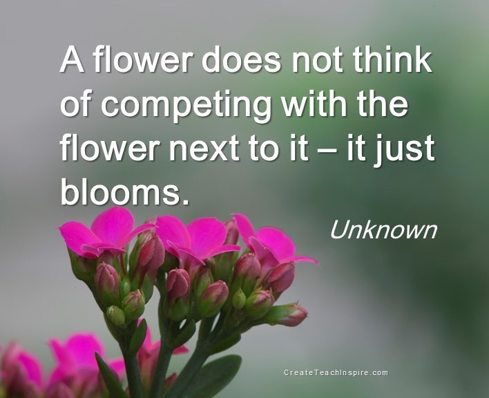 A flower just blooms.