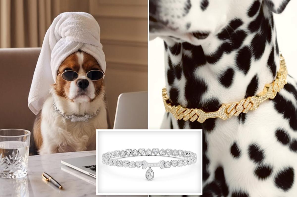 nypost's tweet photo. Exclusive | Latest luxury fashion trend is million dollar jewelry for your dog https://t.co/yXmJYcQUHJ https://t.co/BQwuEcTFNw