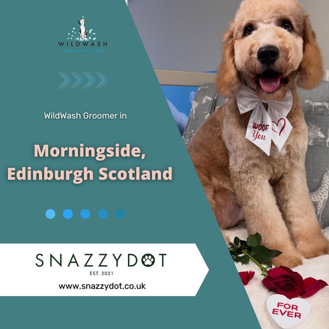 WildWash tweet media