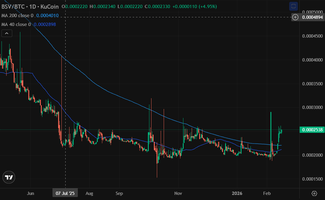 bgans 🥒 tweet media