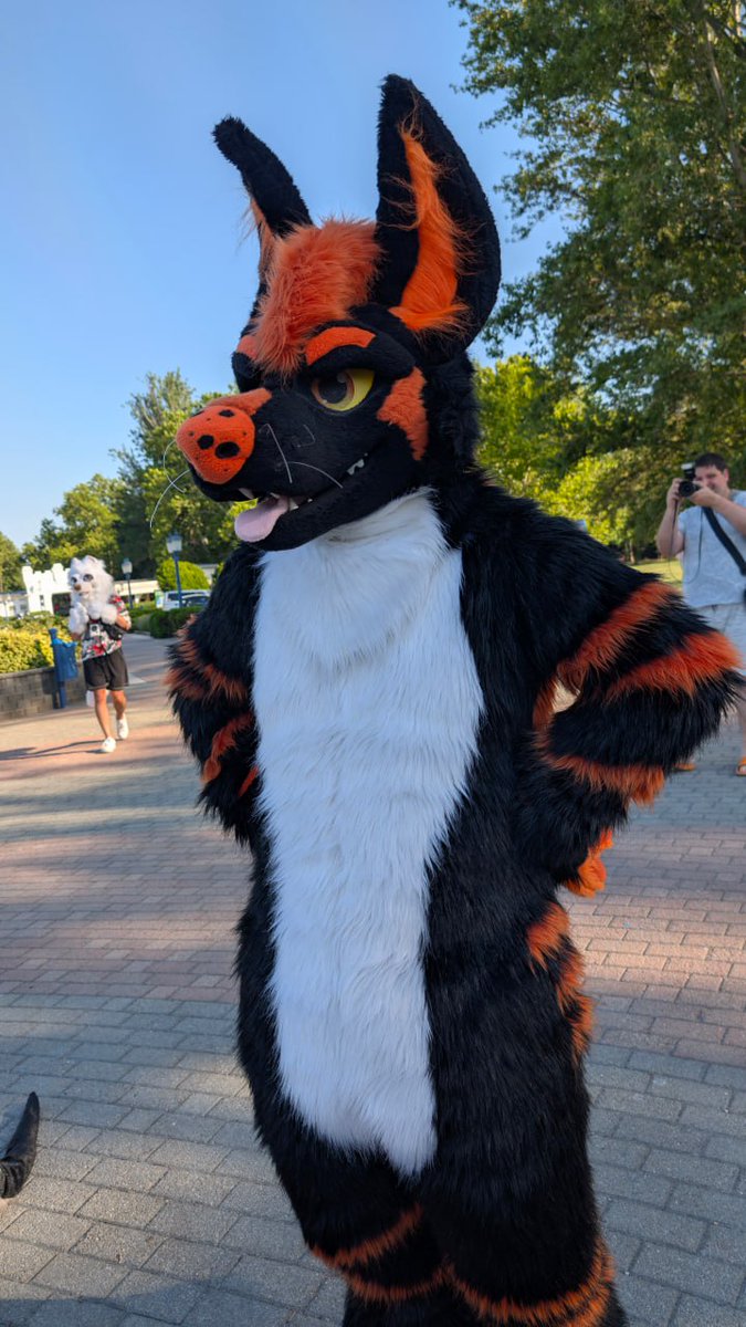 WolfLycaon tweet media