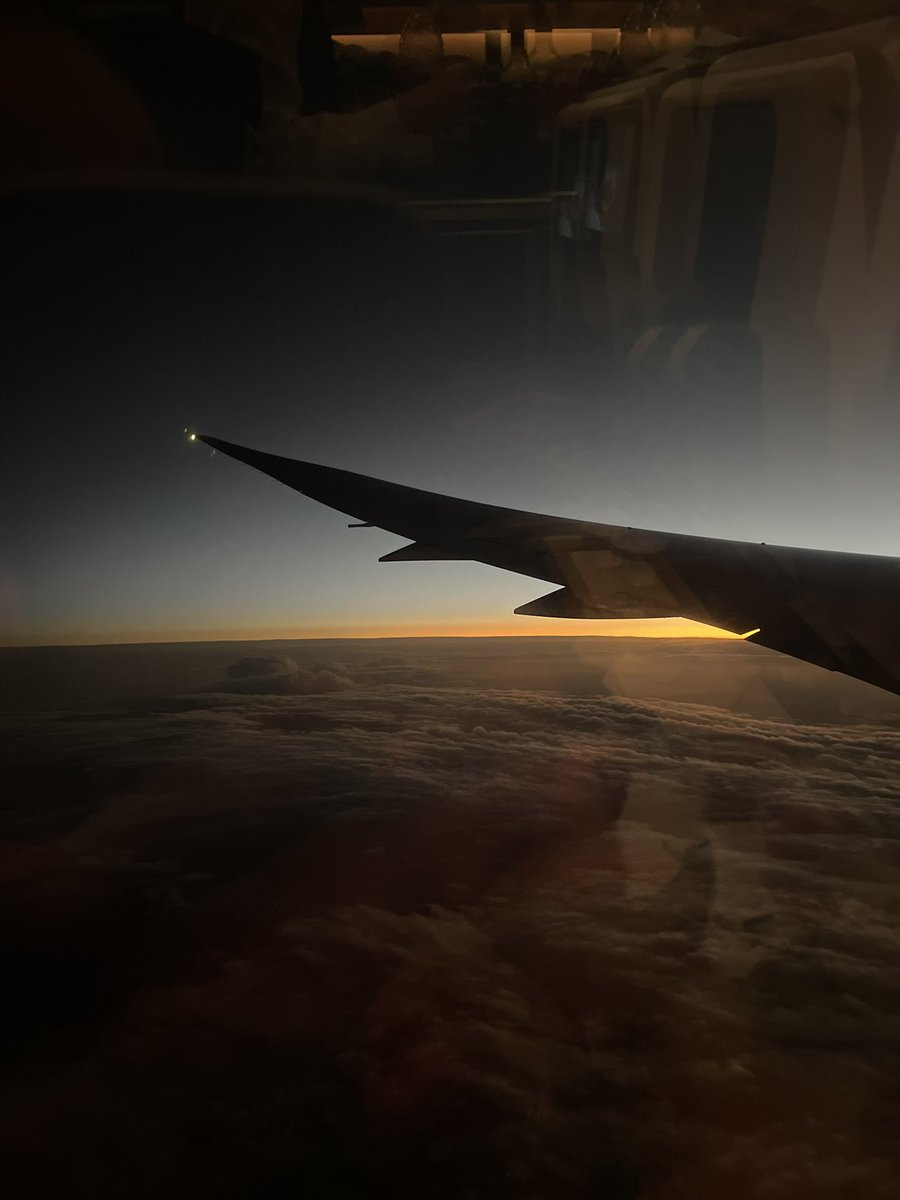 Fifss of Rayne 🦋 tweet media