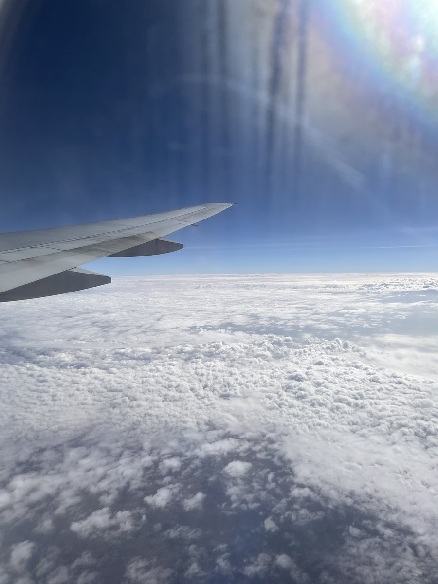 Fifss of Rayne 🦋 tweet media