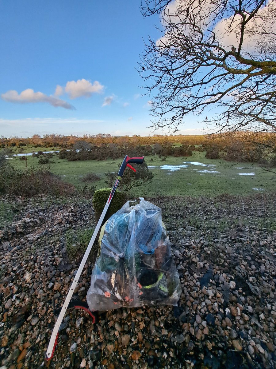 new forest ranger tweet media