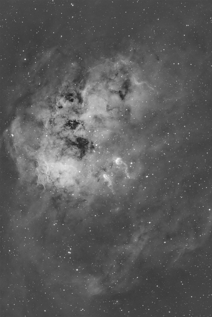 🇺🇸 Mazzif Astro 🇺🇸 tweet media