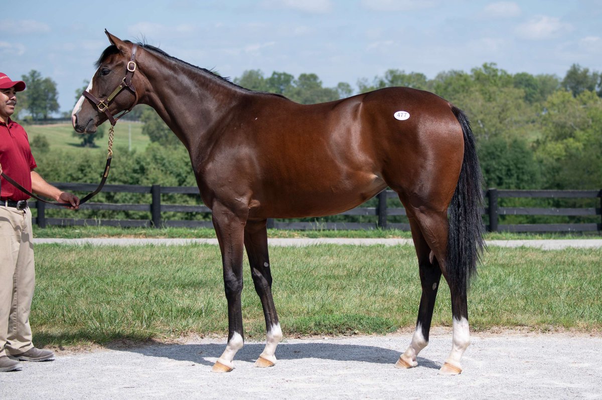 TaylorMadeSales's tweet photo. #WEEKENDWINNER: #TMCONSIGNED AWESOMESAUCE πͺ breaks her maiden in an exciting last to first run at @fairgroundsnola! Congratulations to the connections! #TaylorMadeSales
O: Joseph Engelhart
B: Josheph Engelhart https://t.co/MBe0HGoCkb