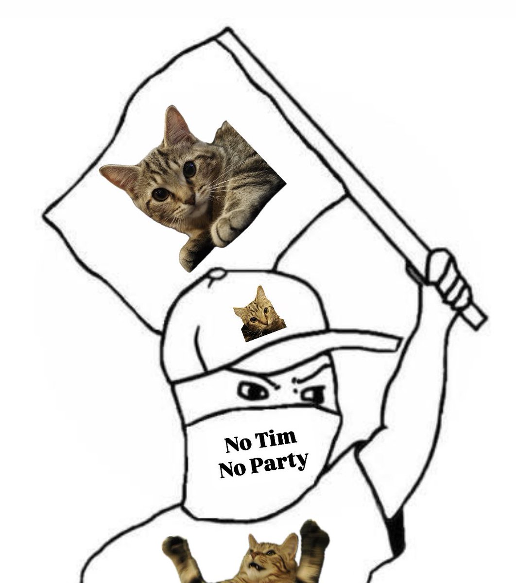Votez Tim
