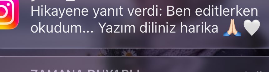 Sonunda yıllardır hayalini kurduğun kitabı yazıp kedin okumaya başlamıştırsın , ve editöründen gelen güzel iltifat 🤗🫶💛