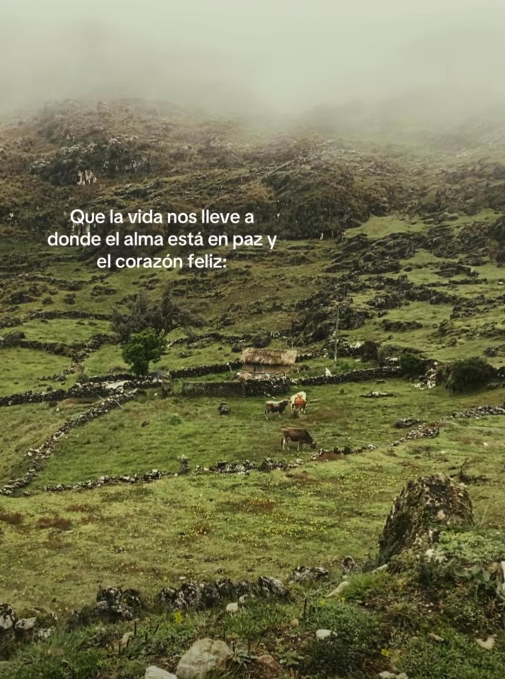 BANDIDOS (@bandidosfrasess) on Twitter photo 