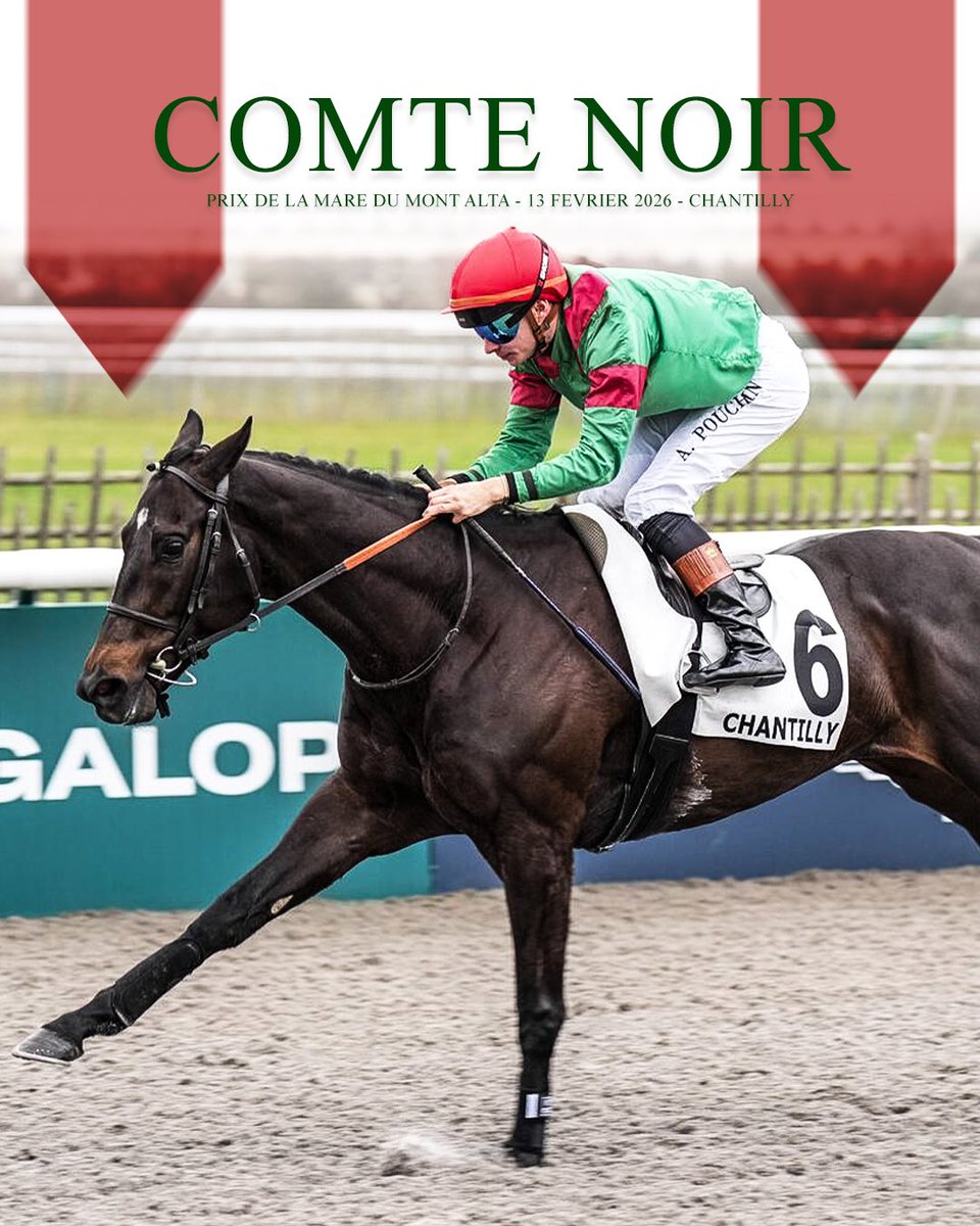 ecurie_satalia's tweet photo. COMTE NOIR fait la différence
Il renoue ce vendredi avec la victoire et d’une très belle façon 🏆
Après avoir pris le meilleur à l’open stretch, il se détache facilement du peloton pour finir 🚀
Ce fils de #Shalaa fait une nouvelle fois briller la casaque de Monsieur Walter https://t.co/R6yC3cnk5h