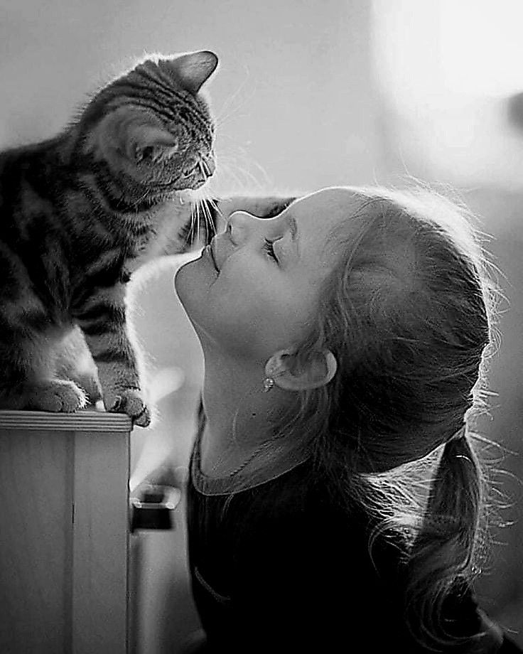 tualveben's tweet photo. 🌾 ..." dostluk güzeldir "...
🎶 Begen
✍️ GT yaz
🌀 Paylaş
Takip etmek isteyenler, takipçi edinmek isteyenler gelsin...
Yorum yapalım, paylaşalım...
#Takip #takipleşme #geritakip #Fallowback #Fallow https://t.co/drm4JGSPP0