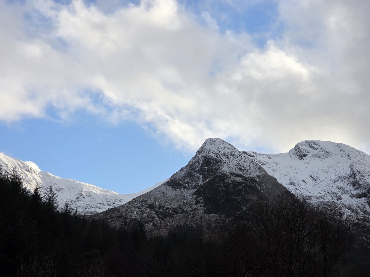 Diana Rotten 🦷 tweet media