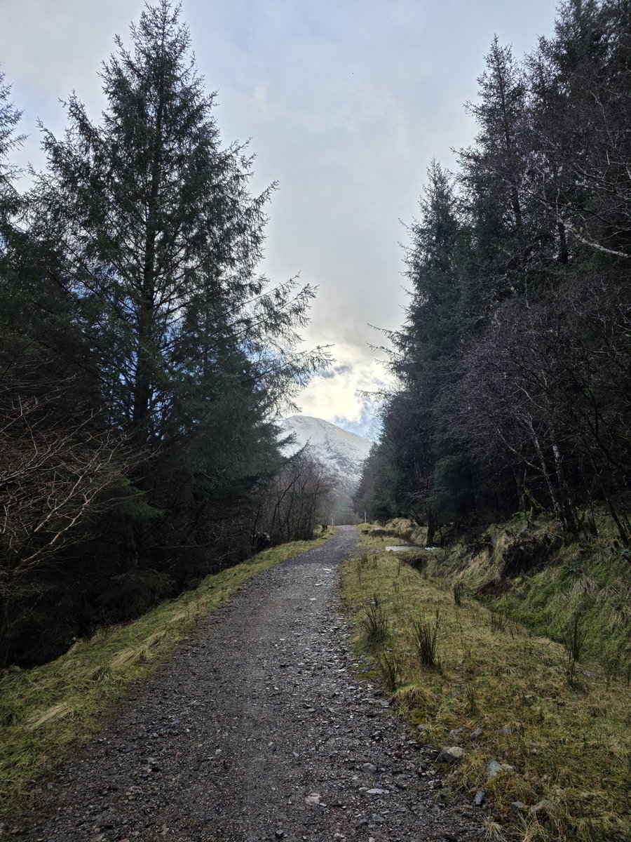 Diana Rotten 🦷 tweet media