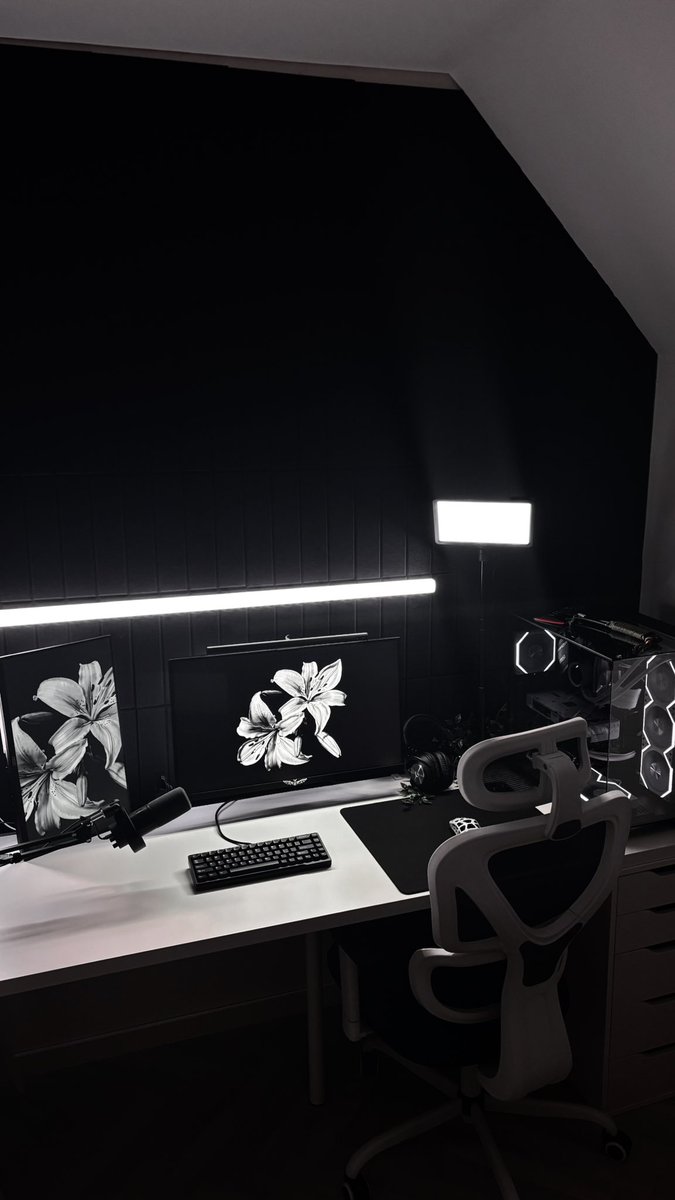 multigxds's tweet photo. Say hi to Binx! #tech #gamingsetup #desksetup #monochrome #pc https://t.co/QKB8VGFiV3