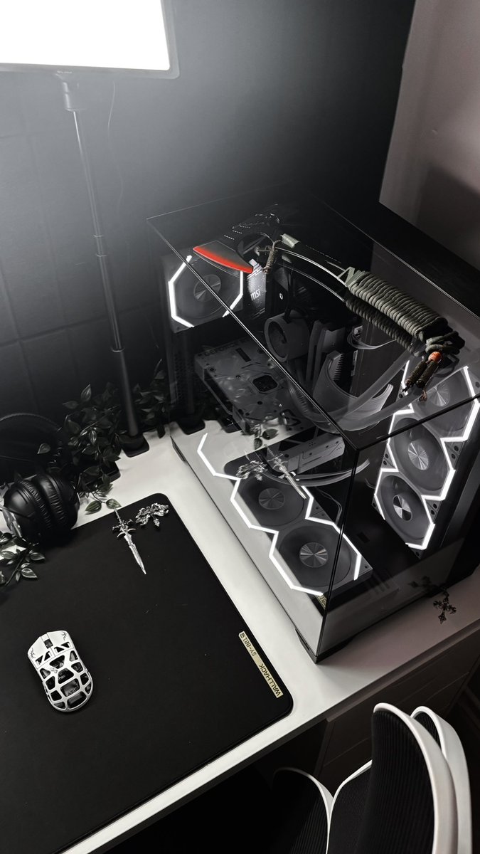 multigxds's tweet photo. Say hi to Binx! #tech #gamingsetup #desksetup #monochrome #pc https://t.co/QKB8VGFiV3