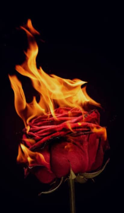 Shivan Atuhaire tweet media