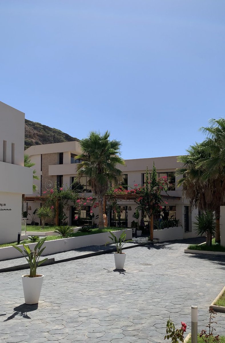 drbsii's tweet photo. toujours un jour random en Algérie 🌸 https://t.co/jy4at3nN2d