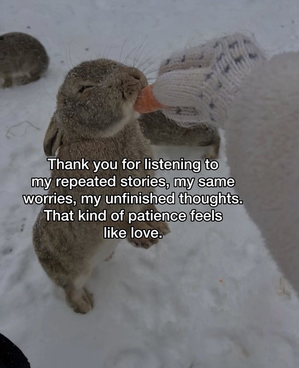 𝔞𝔰𝔥𝔱𝔯𝔞𝔶 the loveless (@deathbyashtray) on Twitter photo 