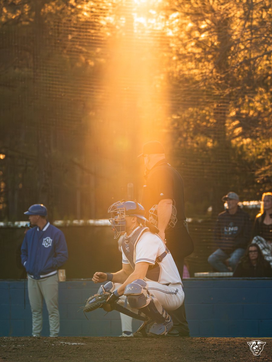 GSU Baseball tweet media
