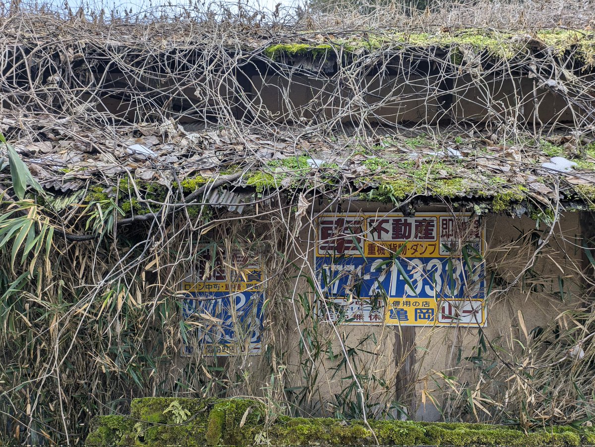 ラーメンがもうどうでも良くなりだした頃。
（行くけど。）