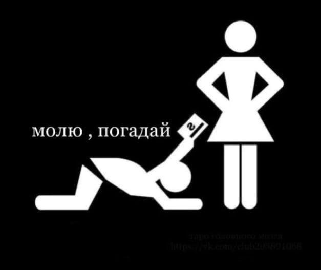 плесень периодическая tweet media