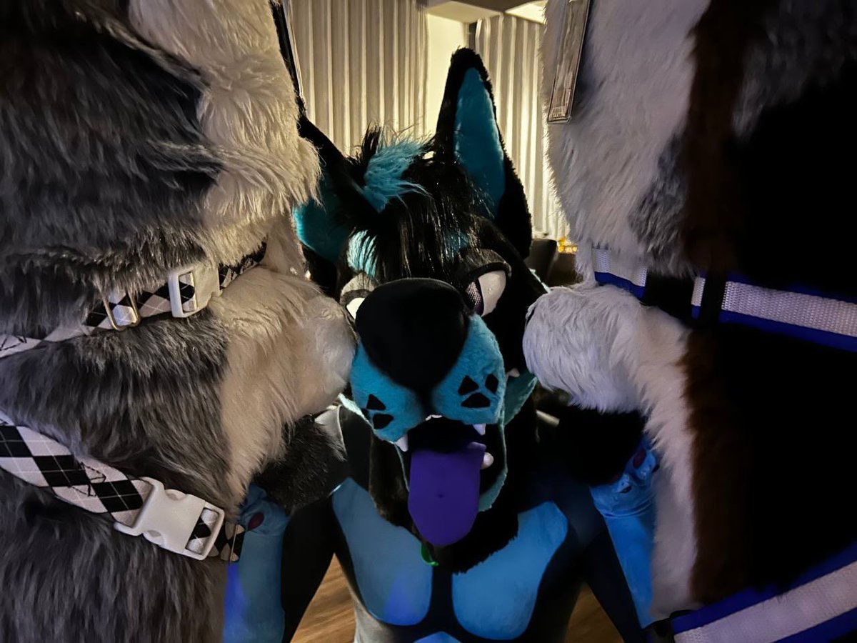 Nitro Sheef 🔞🔜 𝗙𝗪𝗔 tweet media