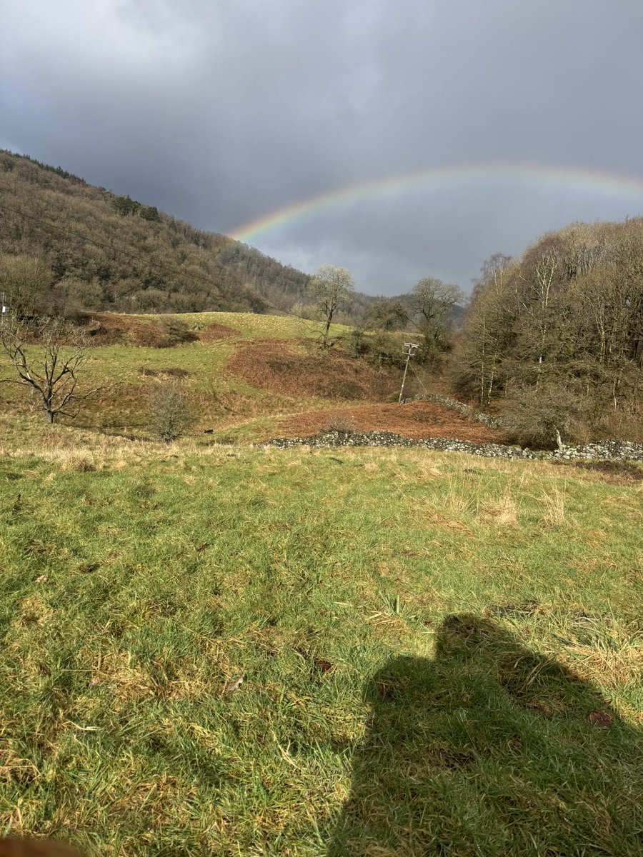 Sandy Childs tweet media