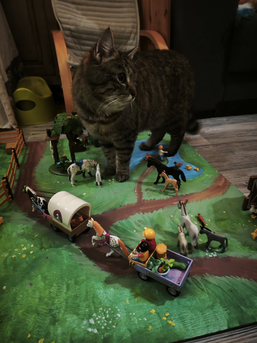 ✨🌈Raeven🌈✨ tweet media