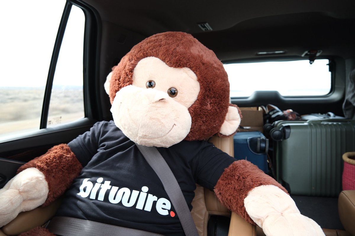 Bitwire ~ Your news, amplified. tweet media