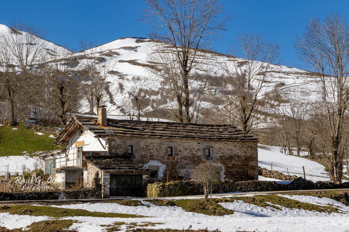 RaulGCoto's tweet photo. Valles pasiegos Burgaleses #VallesPasiegosBurgaleses @Burgosenelmundo #PasiegosBurgaleses #Merindades @BurgosTur #LasMachorras @CyLEsVida #Pasiegos #CulturaPasiega #NorteDeBurgos #BurgosRural #NaturalezaBurgos #PaisajePasiego #CabañasPasiegas https://t.co/fBTGRSuCvJ