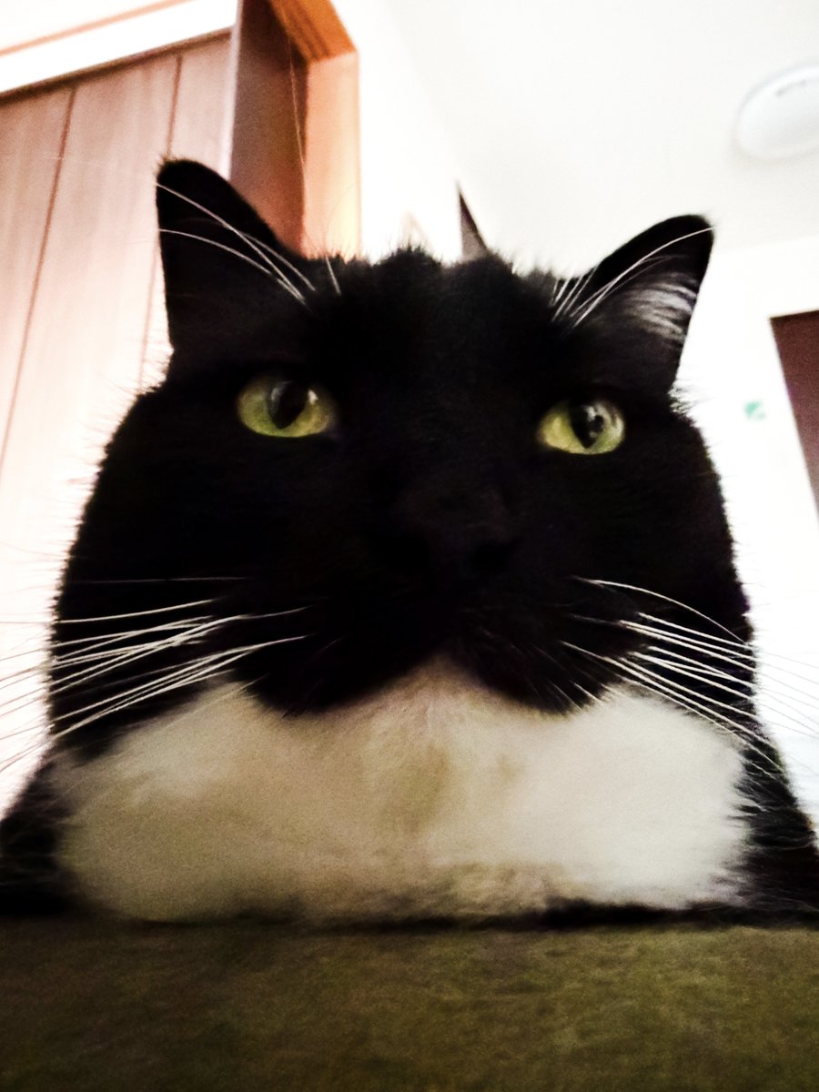 The strongest never wavers…