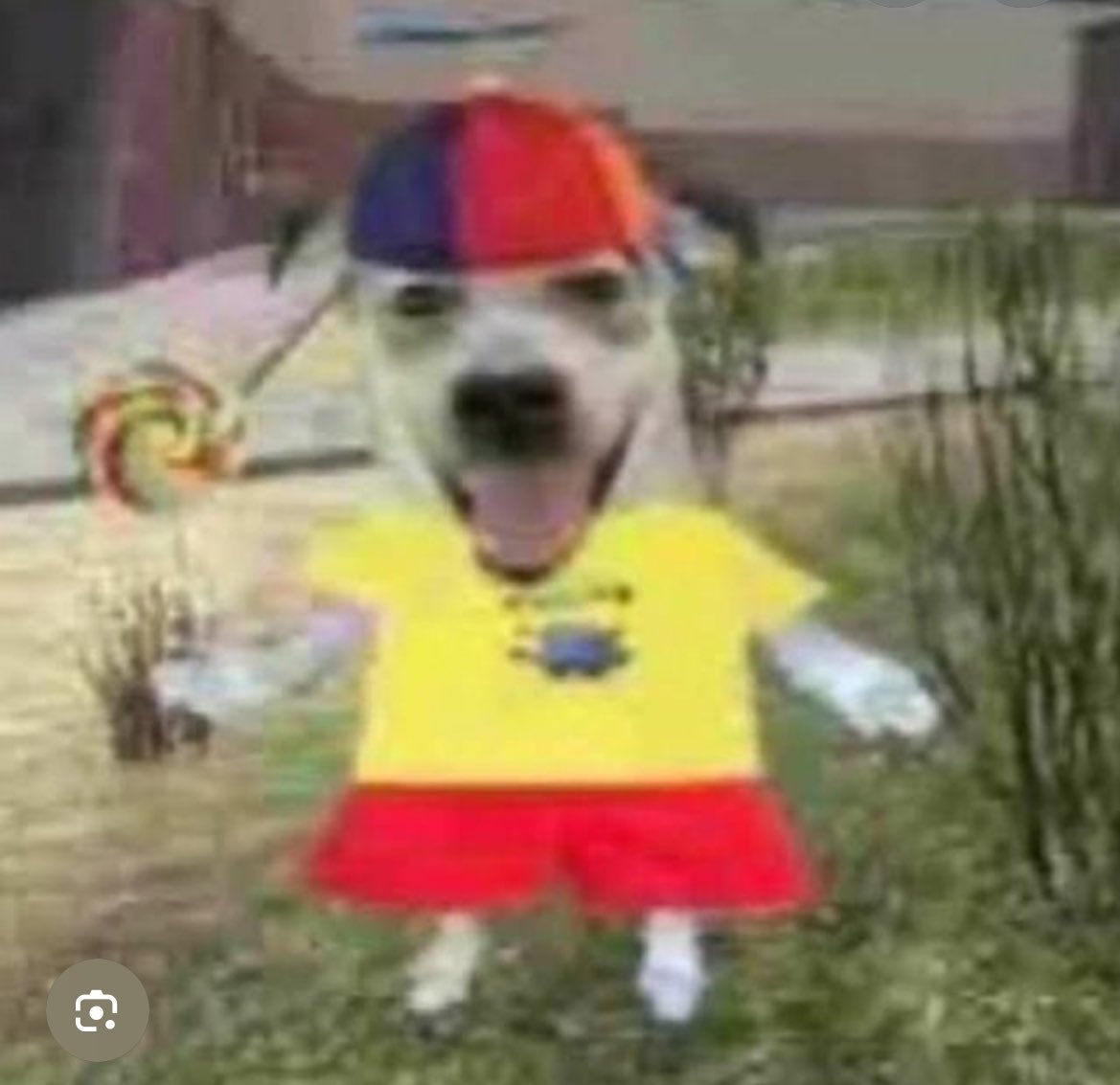 lana jurídicø (dad) jøsh dun tweet media