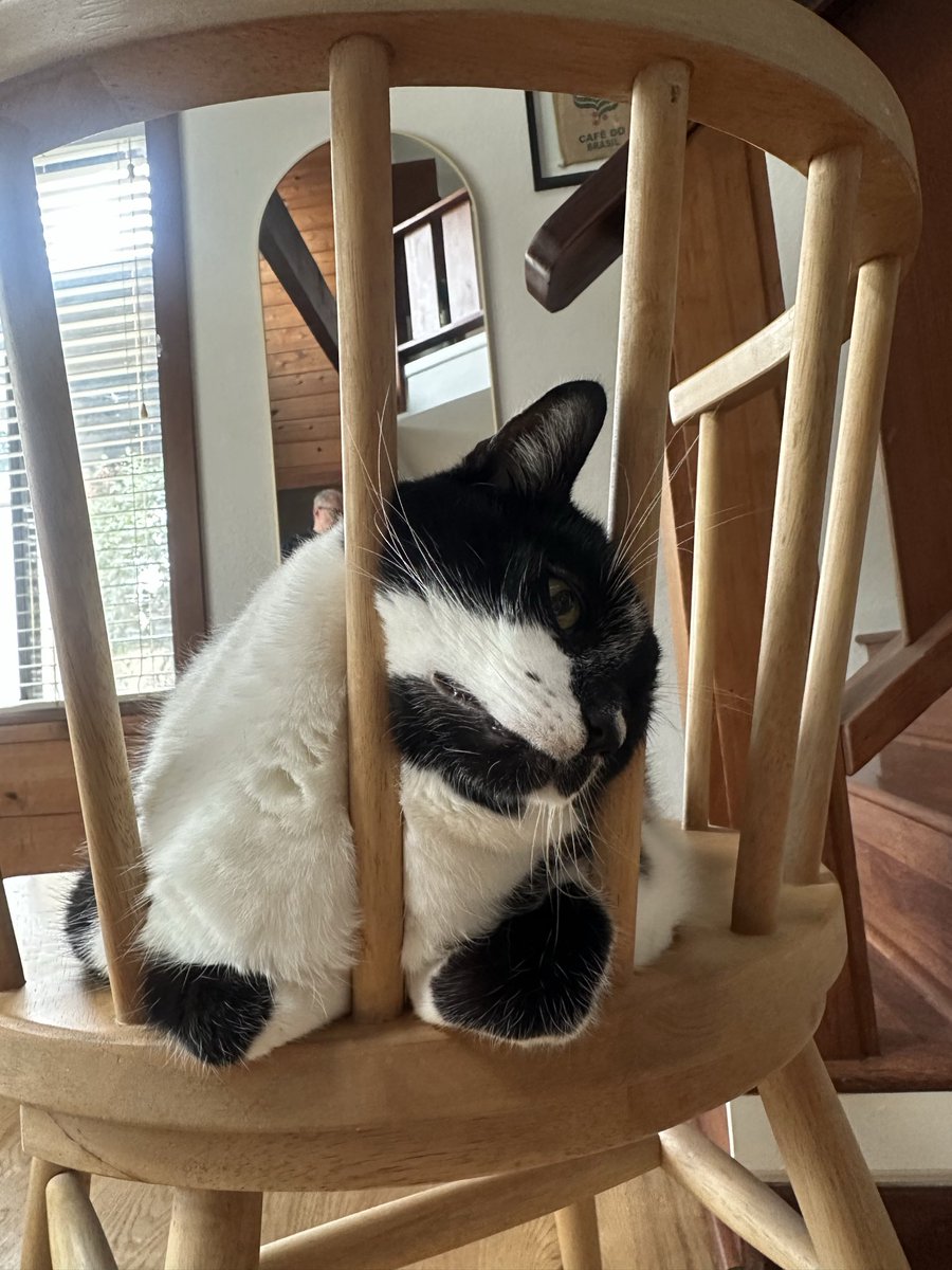 Have you ever seen a guy this comfy