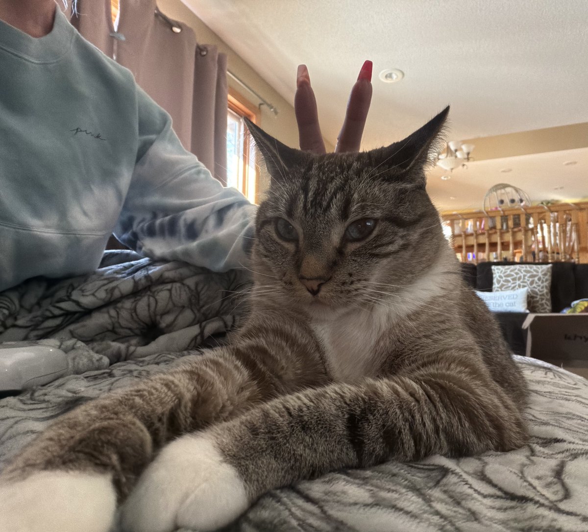 🐛🌷Dean🦋🪴 tweet media