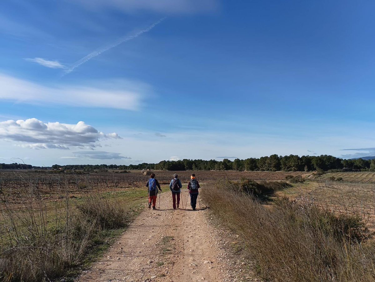 aamp.cat tweet media