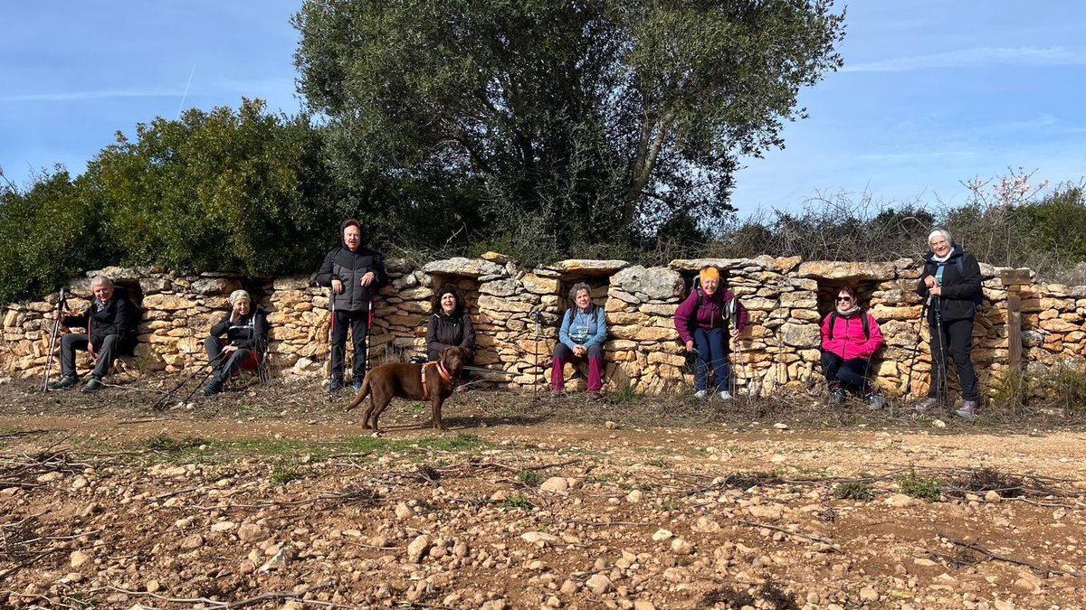 aamp.cat tweet media