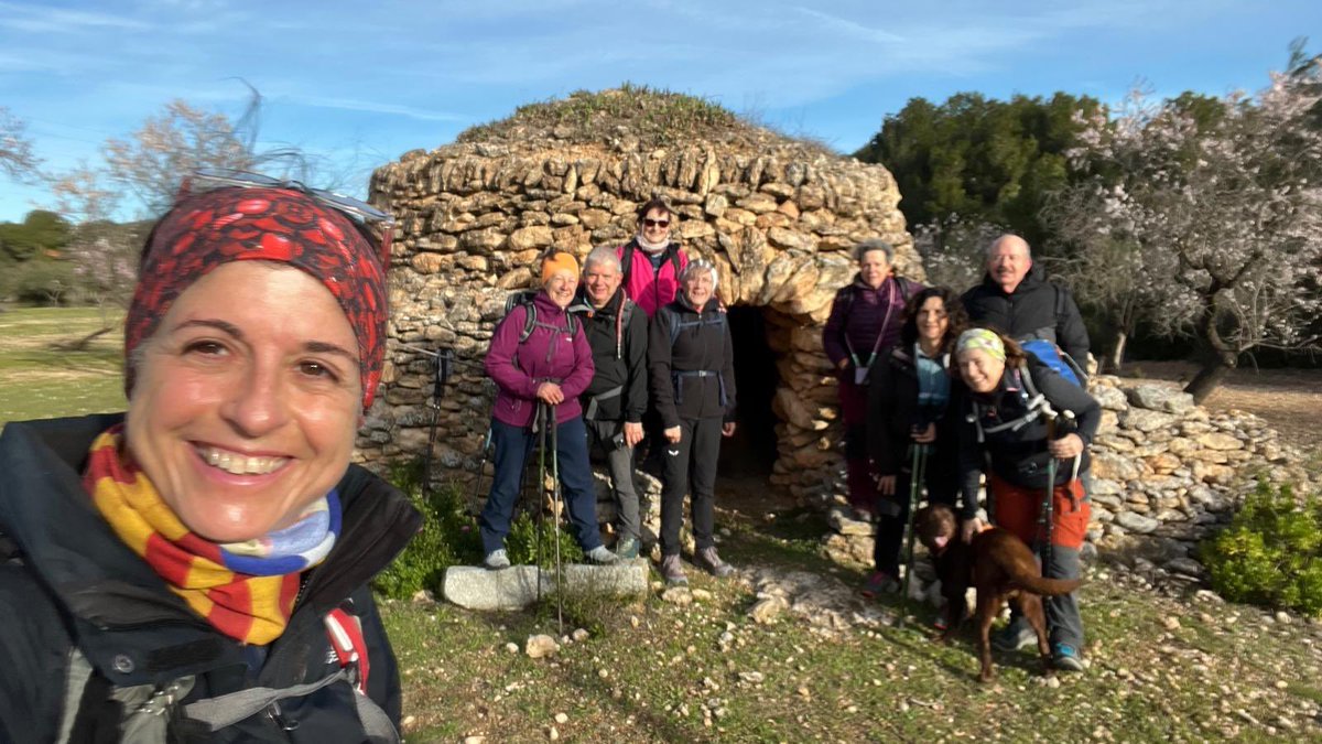 aamp.cat tweet media