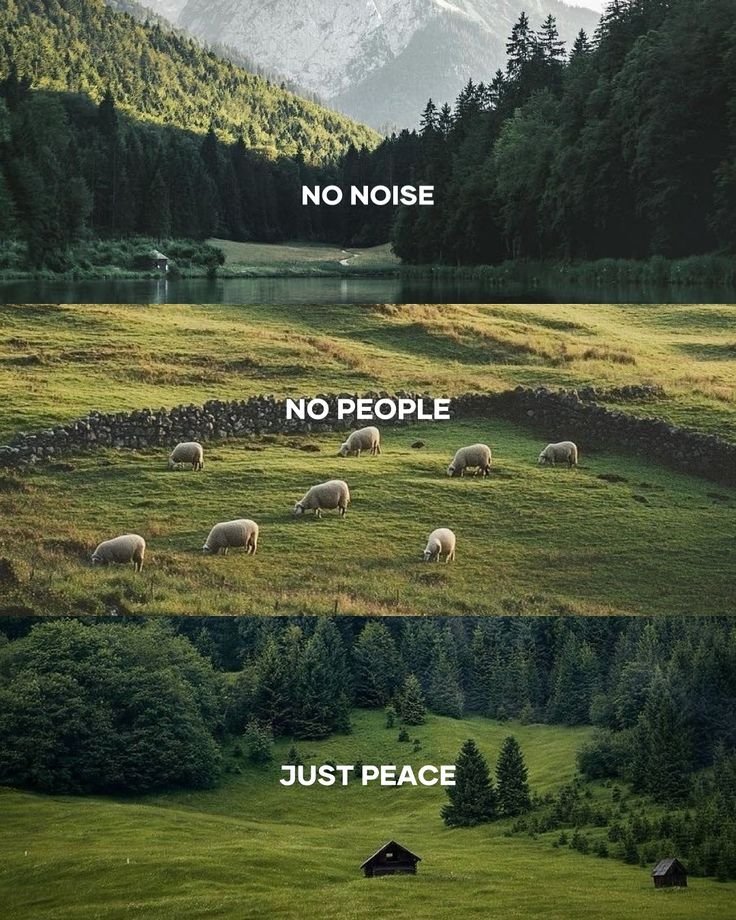 Mountain Cabins (@cabinsmountain) on Twitter photo 