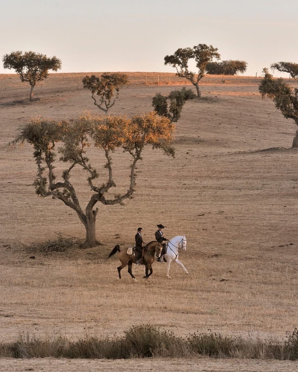 Spain, land of cowboys