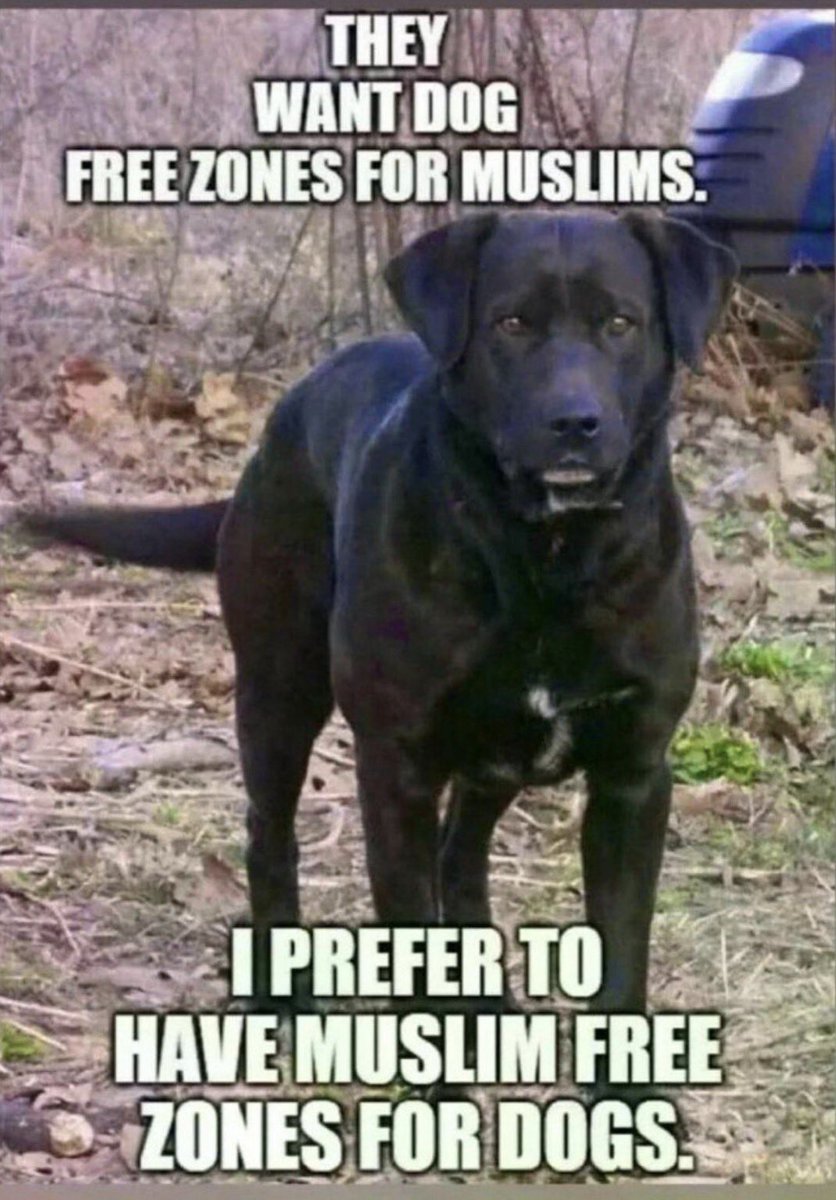 Who else prefers Dogs over Muslims? 🙋‍♀️