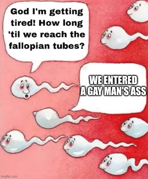 Luna Muenster // Weber Raichu tweet media