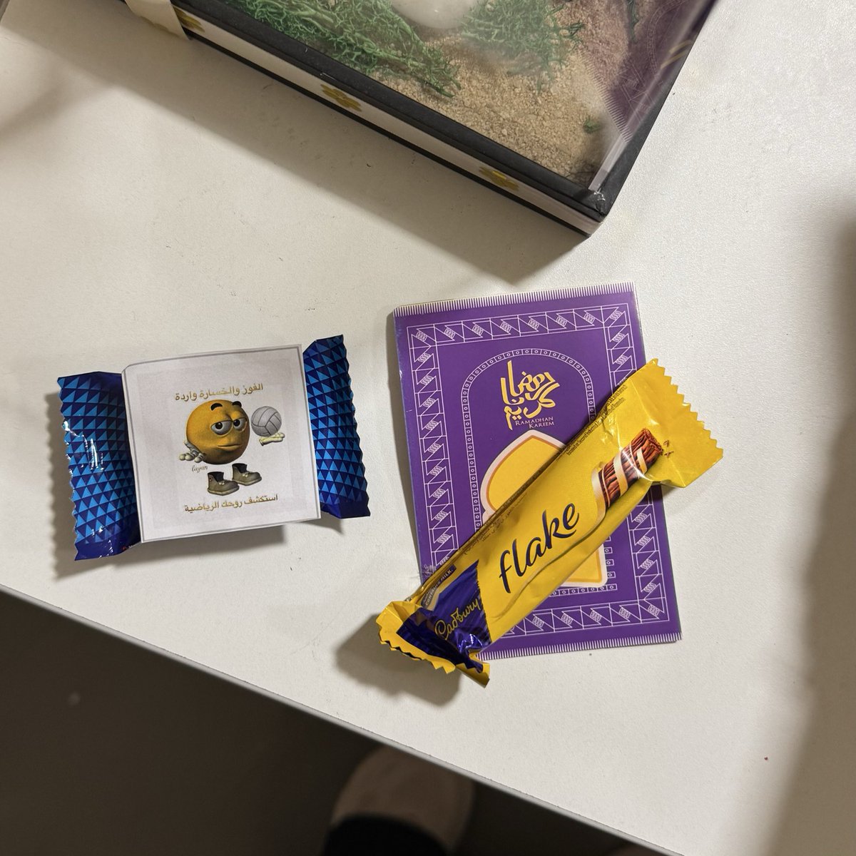 أجزم أن طالبات كلية علوم الرياضة الأفضل على كل الأصعدة🤝