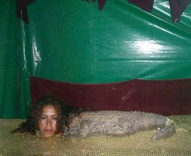 La Reina de los Therian