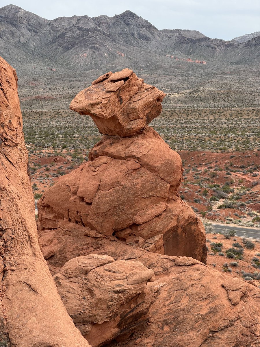 PipeCle🅰️ner_MD tweet media