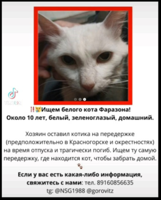 Очень нужна помощь!
К передержке, сразу скажу, никаких претензий нет. Просто люди хотят найти кота своего друга. 

Если у кого-то есть информация, помогите! очень прошу репоста!