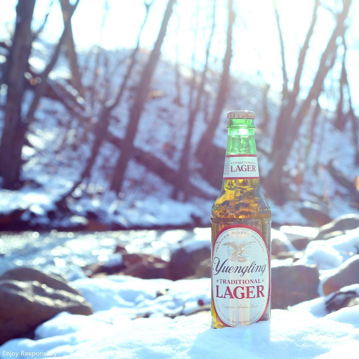 Best find of the Spring thaw... 
 #SpringThaw #YuenglingLager